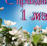 Илья Платицын поздравляет мичуринцев с Первомаем - Администрация г. Мичуринска