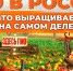Роман Папихин в программе Андрея Даниленко "Своя еда" - МичГАУ
