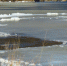 В Мичуринском районе затопило мост - Michurinsk.Name