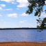 В пруду утонул тамбовский пенсионер - Michurinsk.Name
