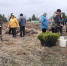 В честь Победы - Michurinsk68.Ru