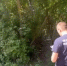В Мичуринске чиновник осуждён по делу о халатности, повлекшей  гибель ребенка - Michurinsk68.Ru
