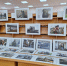 Обзор фотовыставки - ЦГБ г. Мичуринска